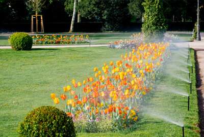 Classic Lawnscape Irrigation Management