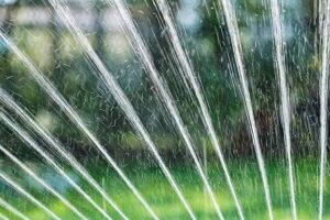 medium_5924235924 | Classic Lawnscape lawn care services