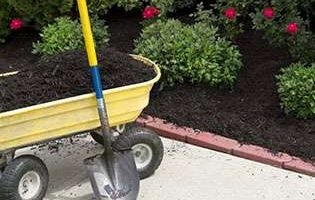 | Classic Lawnscape landscape management Minneapolis