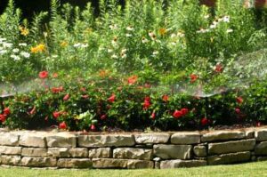 lawn care services