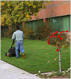 Landscape Management Twin Cities