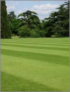 Irrigation Management